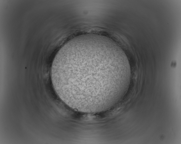 X0000092070607200710101020