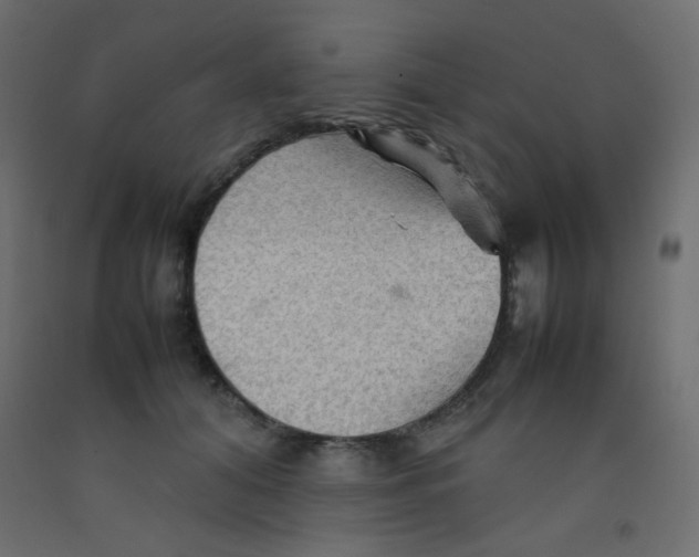 X0000092070608200710101020