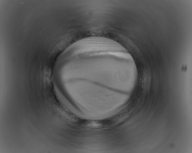 X0000092070610200710101020