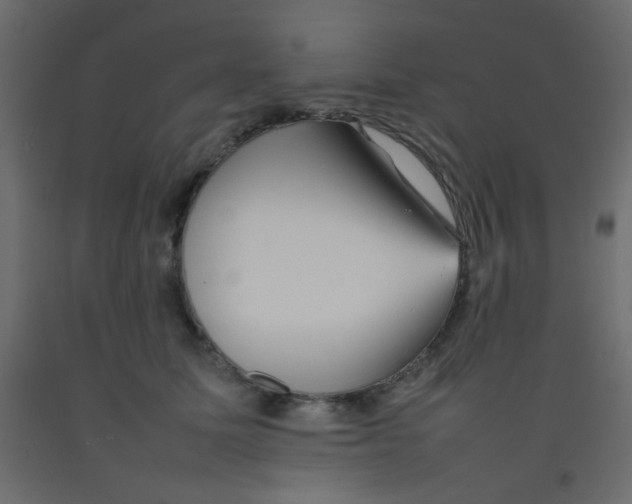 X0000092070611200710101020
