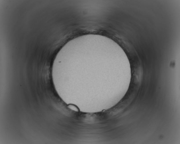 X0000092070612200710101020