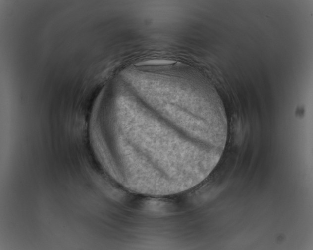 X0000092070614200710101020