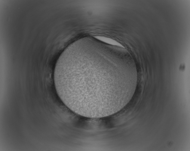 X0000092070615200710101020
