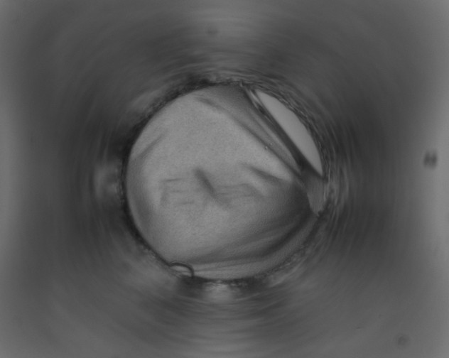 X0000092070616200710101020