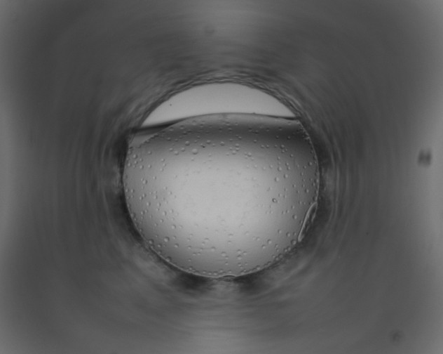 X0000092070617200710101020