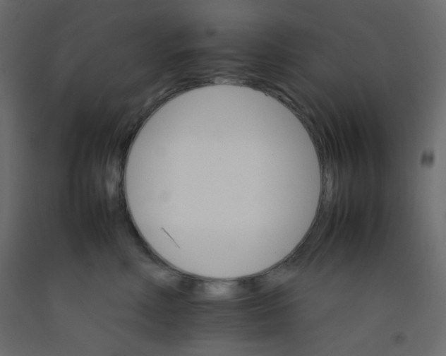 X0000092070618200710101020