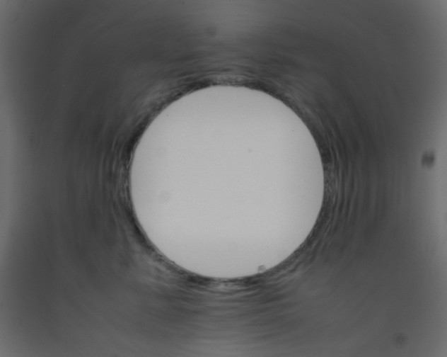 X0000092070619200710101020