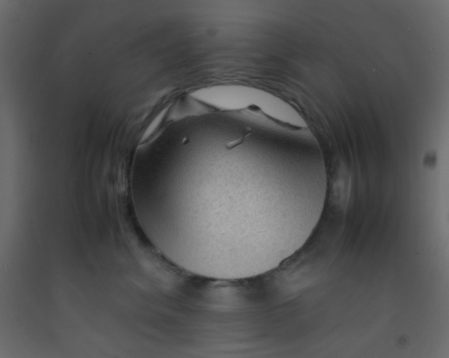 X0000092070620200710101020