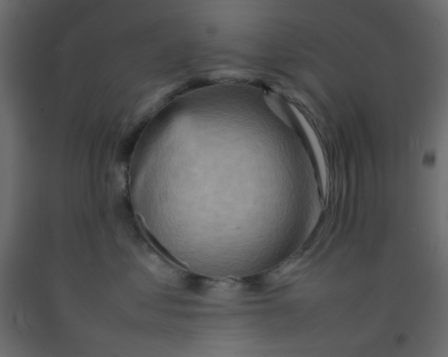 X0000092070621200710101020