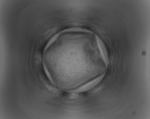 X0000092070623200710101020