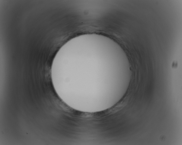 X0000092070624200710101020
