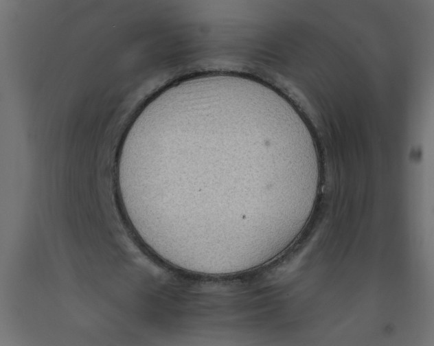X0000092070625200710101019