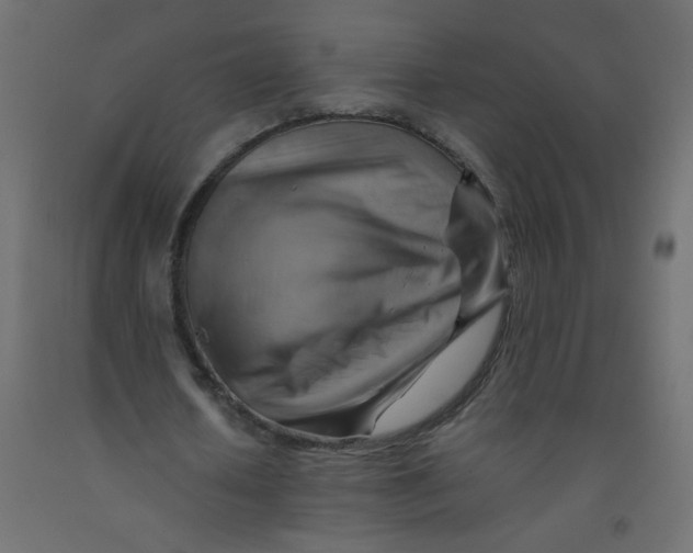 X0000092070626200710101019