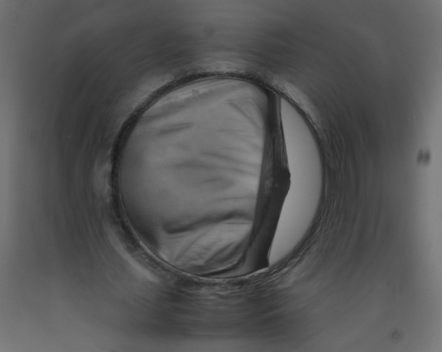 X0000092070627200710101019