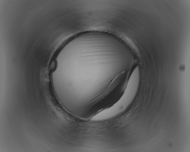 X0000092070628200710101019