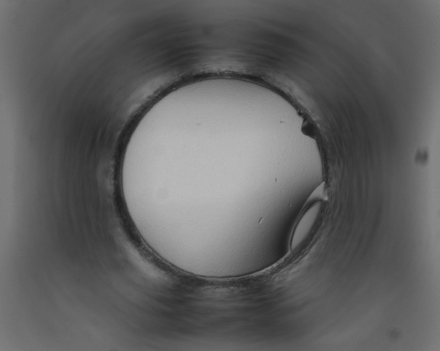 X0000092070629200710101019