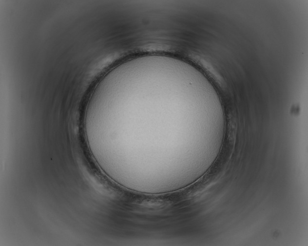 X0000092070631200710101019