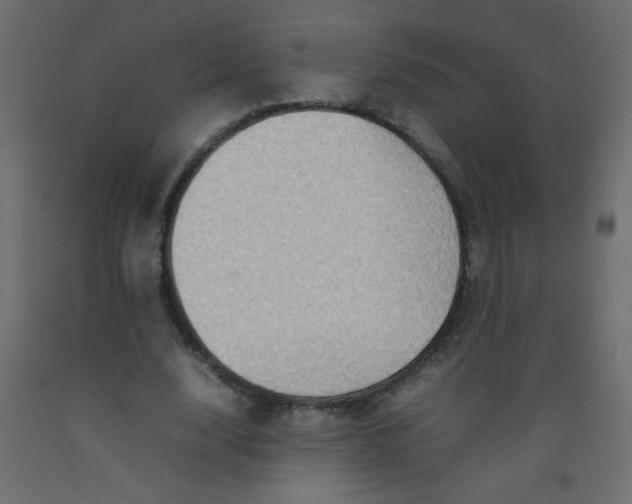 X0000092070632200710101019