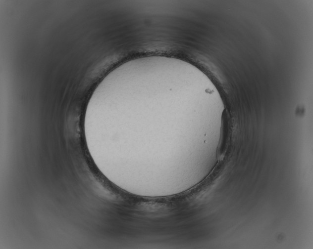 X0000092070633200710101019