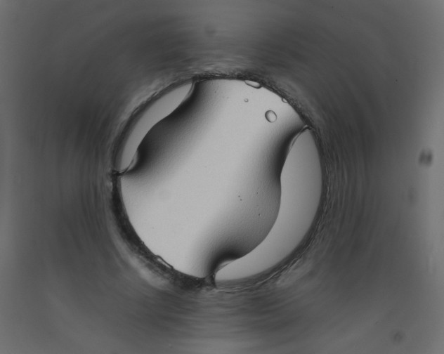 X0000092070634200710101020