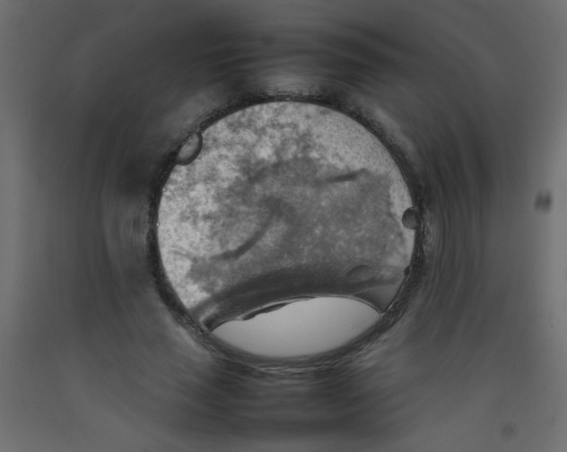X0000092070637200710101020