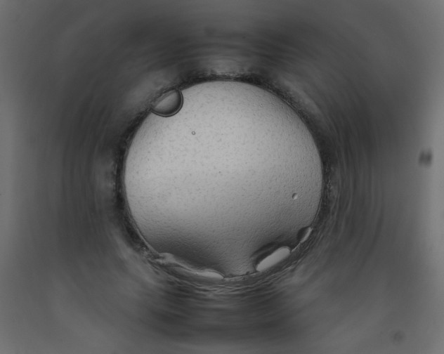X0000092070639200710101020