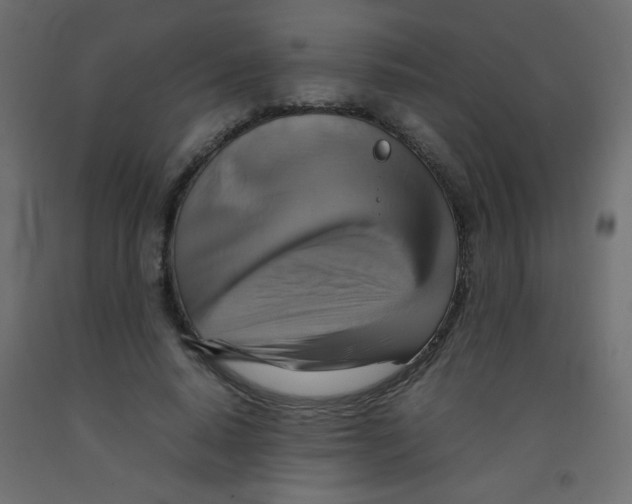 X0000092070640200710101020