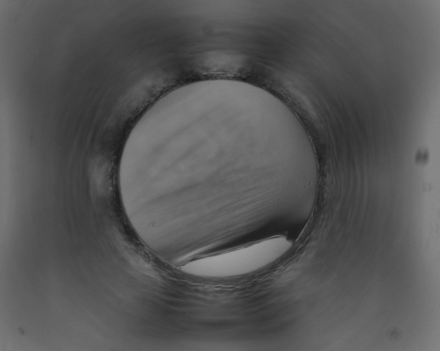 X0000092070641200710101020