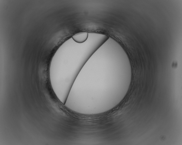 X0000092070642200710101020