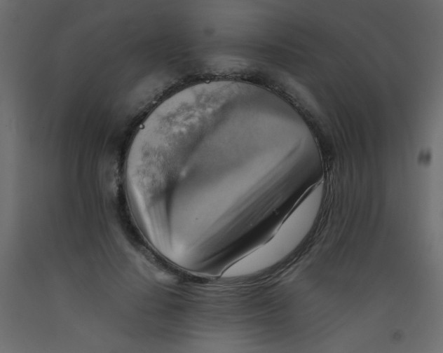 X0000092070644200710101020
