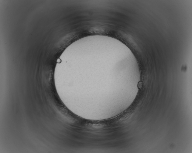 X0000092070645200710101020