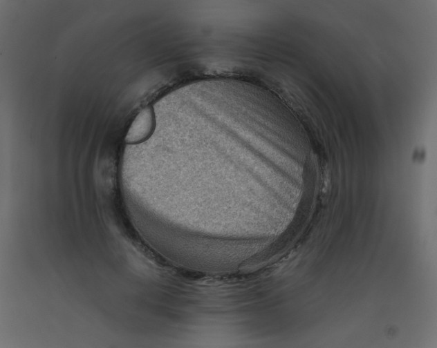 X0000092070648200710101020