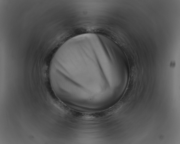 X0000092070650200710101020
