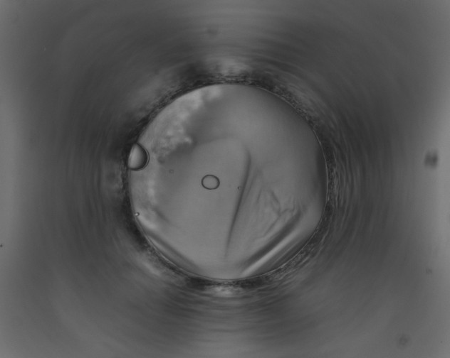 X0000092070654200710101020