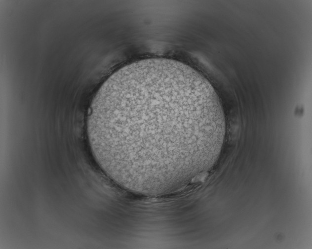 X0000092070656200710101020
