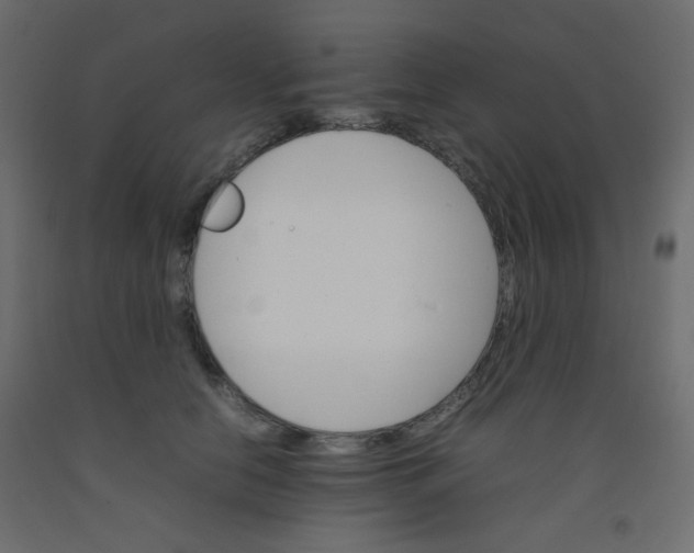 X0000092070658200710101020