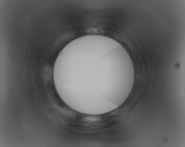 X0000092070659200710101020