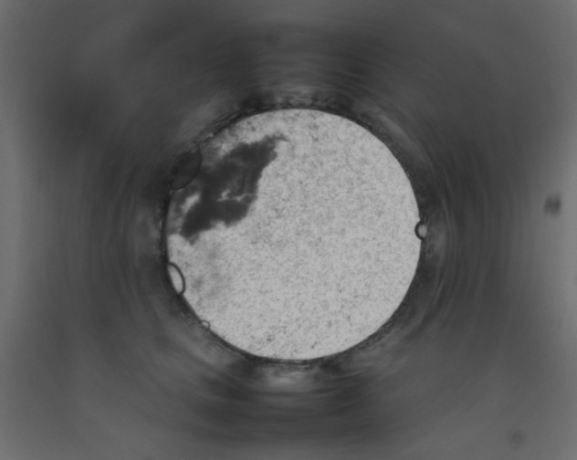 X0000092070661200710101020