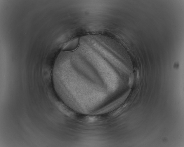 X0000092070662200710101020
