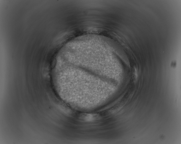 X0000092070663200710101020