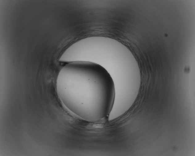 X0000092070665200710101020