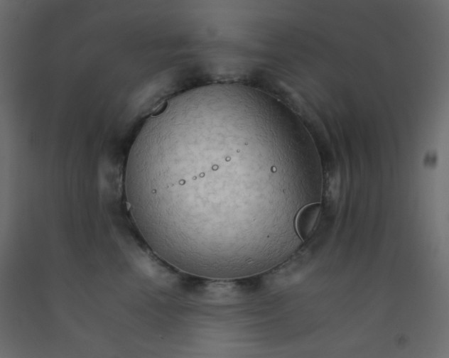 X0000092070666200710101020