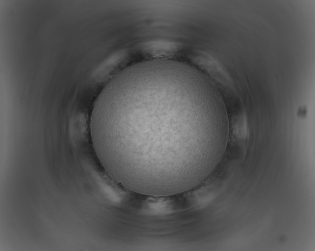 X0000092070667200710101020