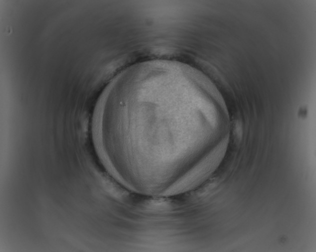 X0000092070668200710101020