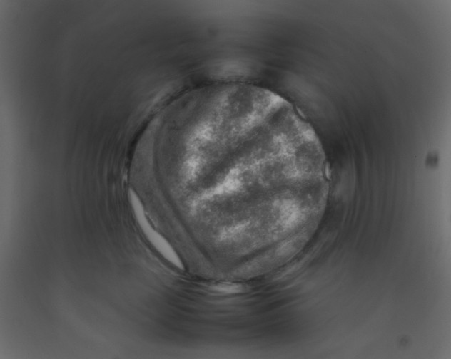 X0000092070669200710101020