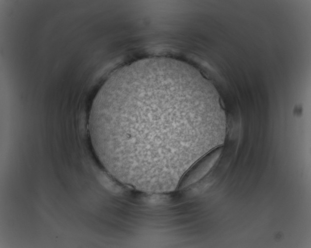 X0000092070670200710101020