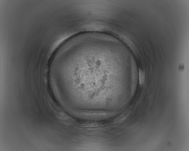 X0000092070675200710101019