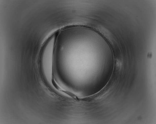 X0000092070676200710101019