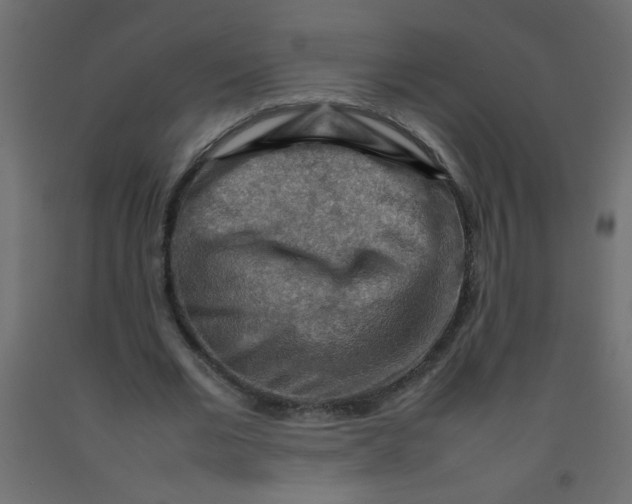 X0000092070677200710101019
