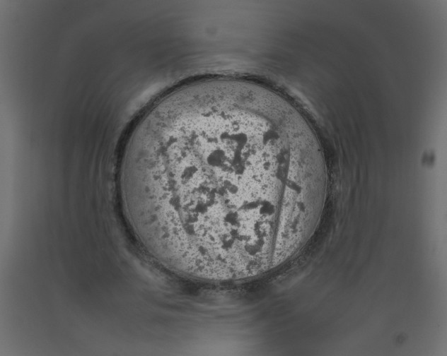 X0000092070679200710101019
